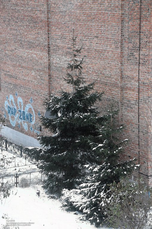 Image 365Project_Day003.jpeg