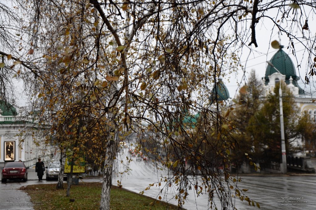 Image 365Project_Day007.jpeg