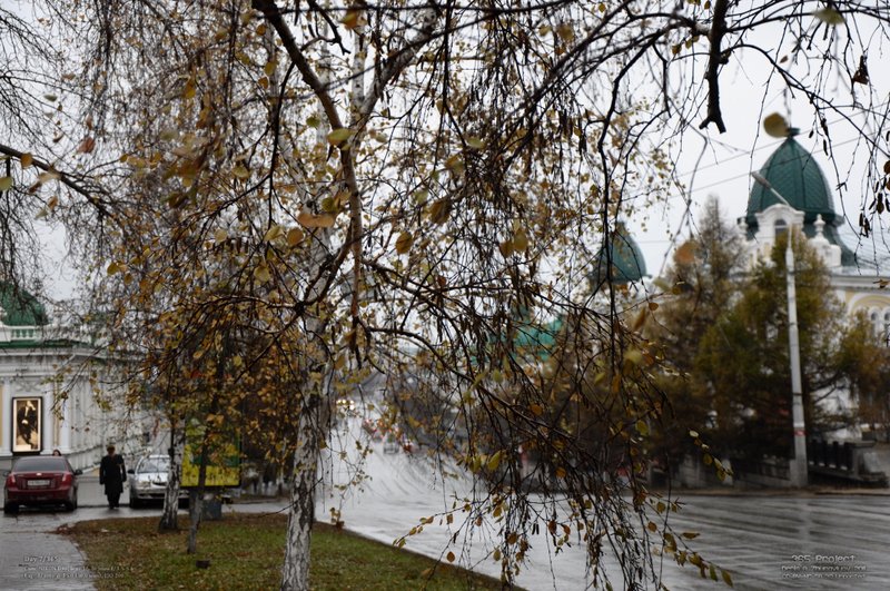 Image 365Project_Day007.jpeg