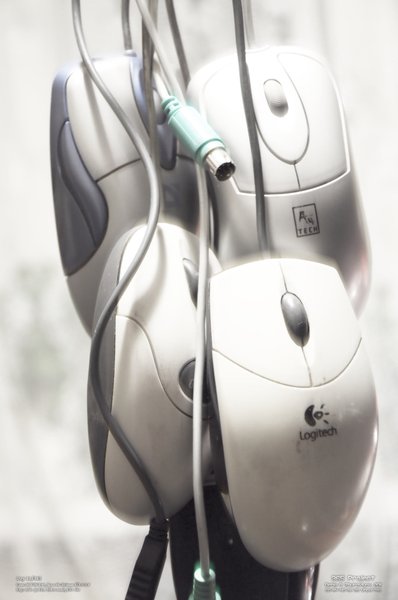 Image 365Project_Day011.jpeg