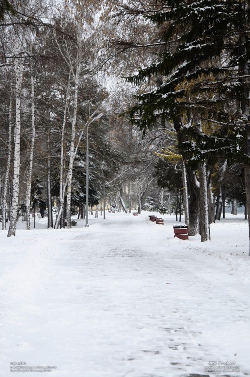 Image 365Project_Day014.jpeg