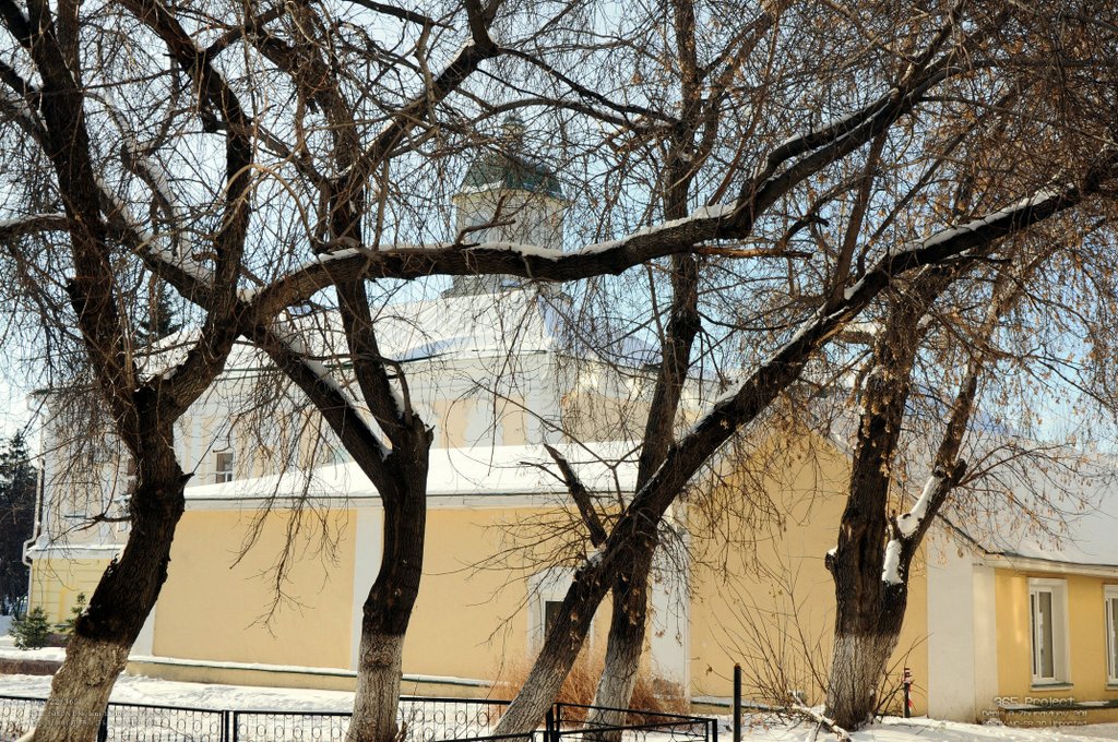 Image 365Project_Day022.jpeg