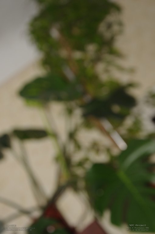 Image 365Project_Day037.jpeg