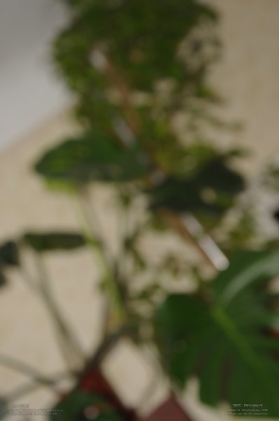 Image 365Project_Day037.jpeg