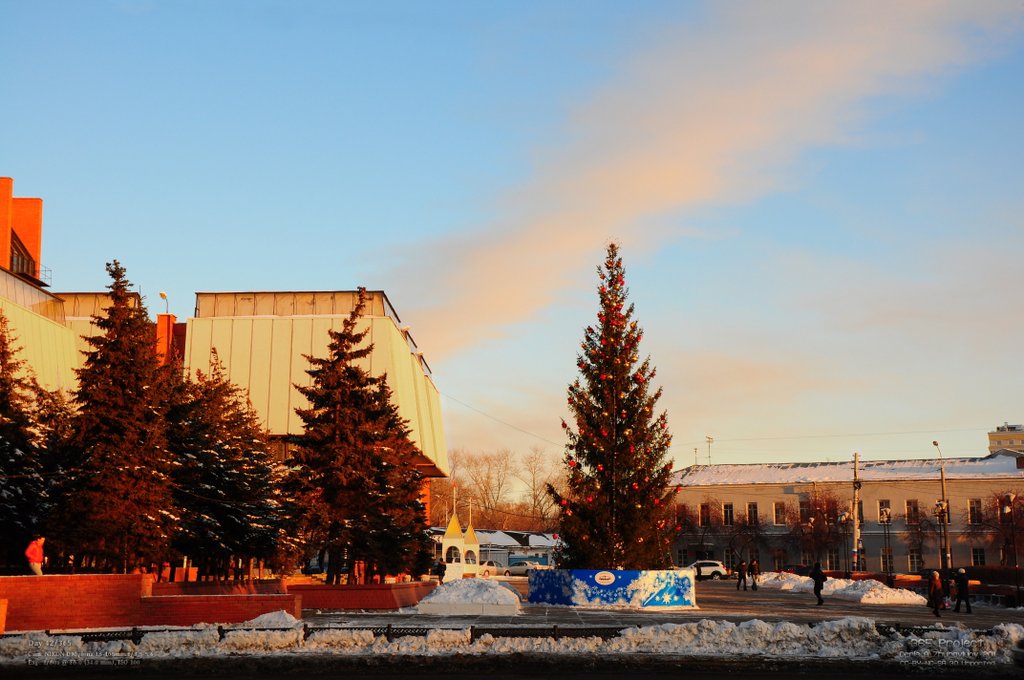 Image 365Project_Day042.jpeg