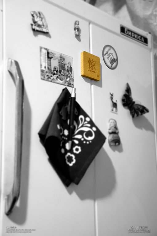 Image 365Project_Day044.jpeg