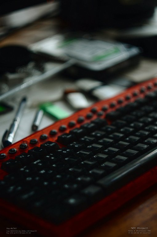 Image 365Project_Day048.jpeg