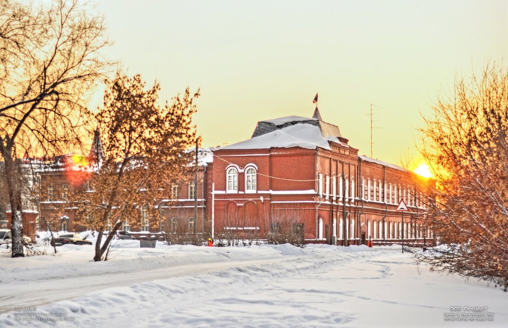 Image 365Project_Day049.jpeg