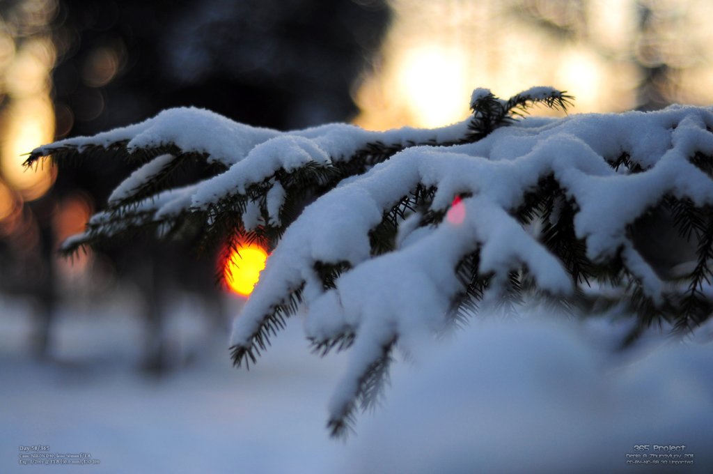 Image 365Project_Day050.jpeg