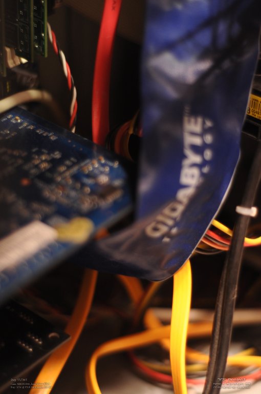 Image 365Project_Day055.jpeg