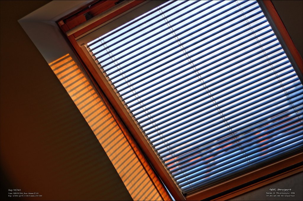 Image 365Project_Day059.jpeg