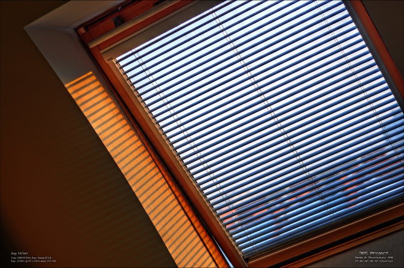 Image 365Project_Day059.jpeg