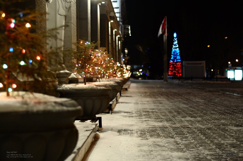 Image 365Project_Day062.jpeg