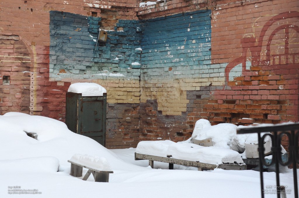 Image 365Project_Day069.jpeg