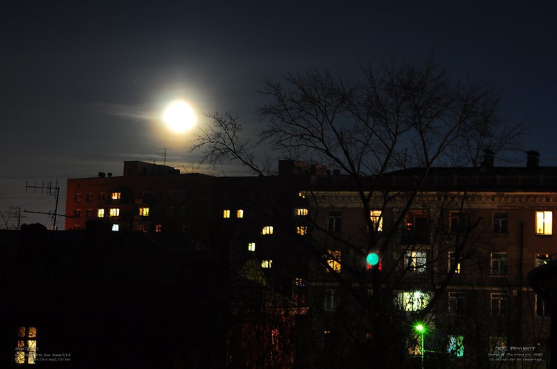 Image 365Project_Day072.jpeg