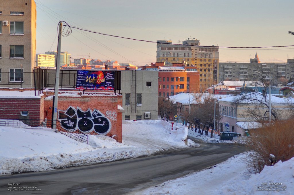 Image 365Project_Day073.jpeg