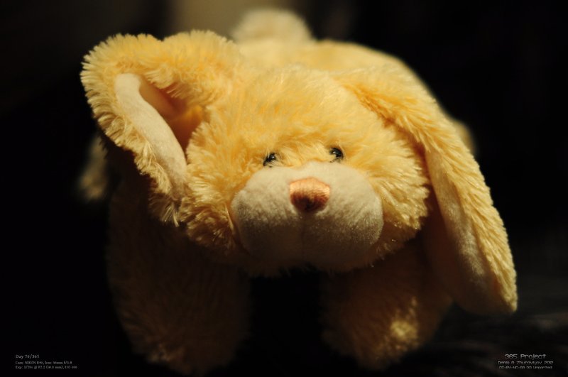 Image 365Project_Day076.jpeg