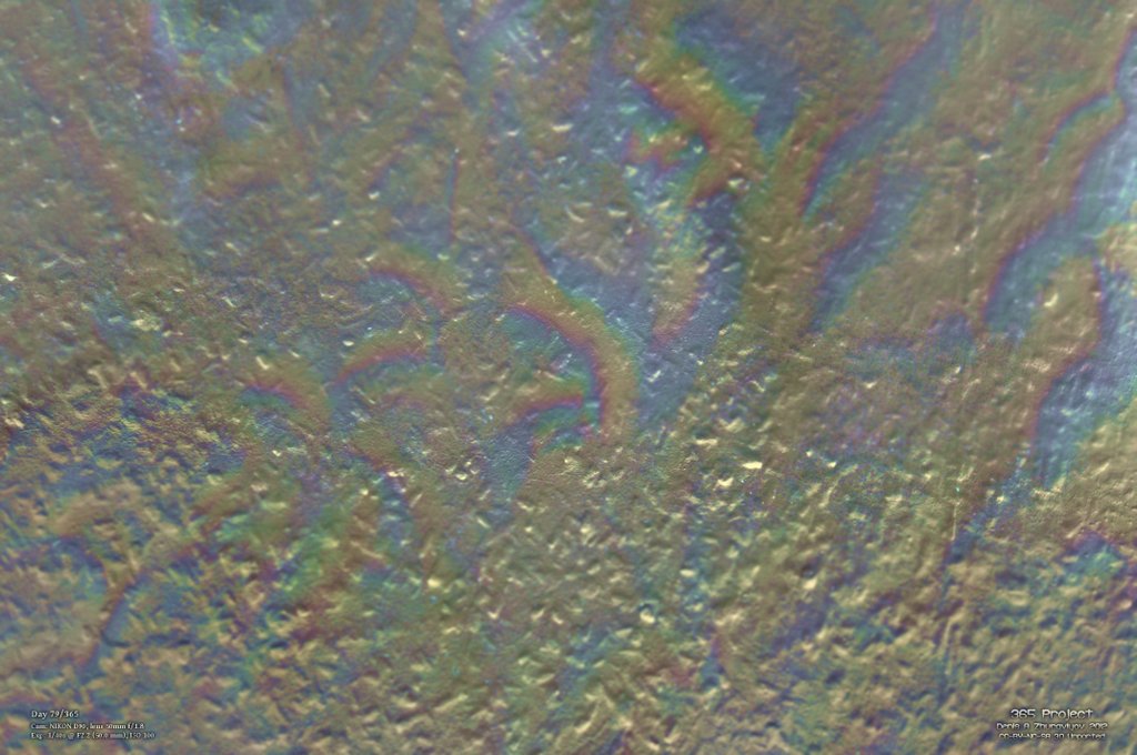 Image 365Project_Day079.jpeg