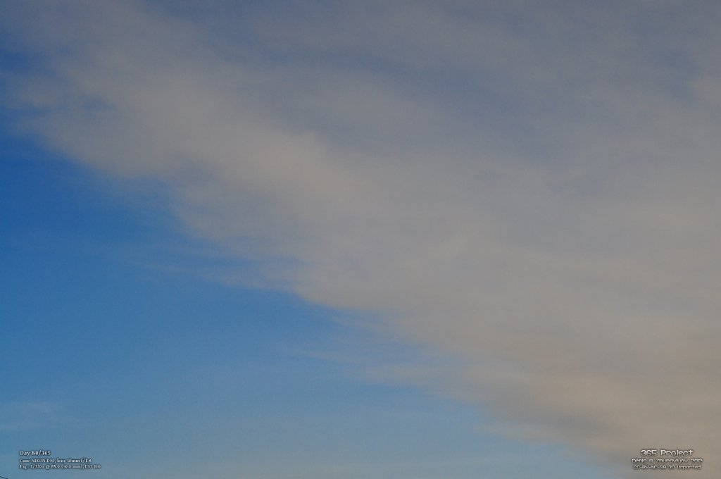 Image 365Project_Day080.jpeg