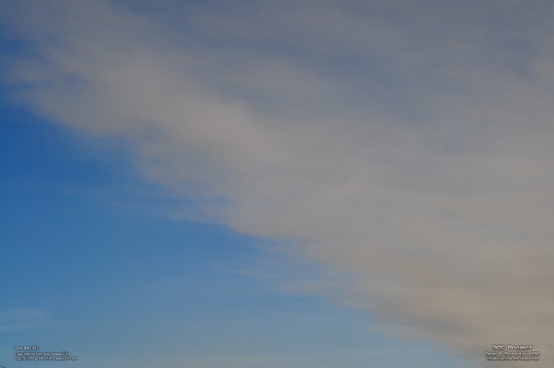 Image 365Project_Day080.jpeg