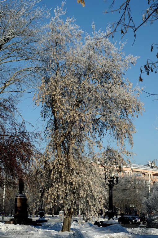 Image 365Project_Day084.jpeg