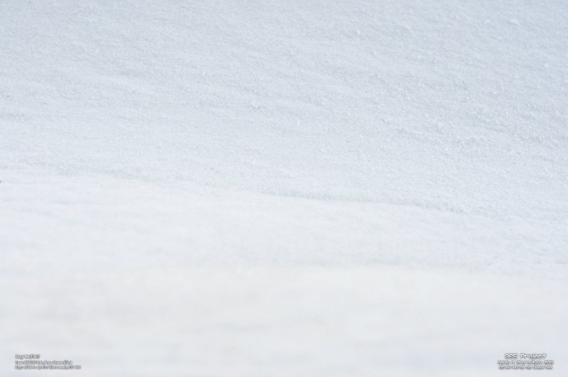 Image 365Project_Day086.jpeg