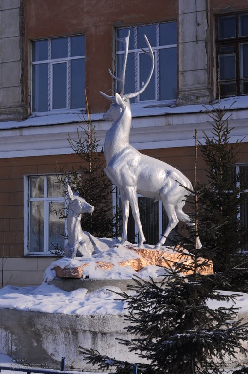 Image 365Project_Day089.jpeg