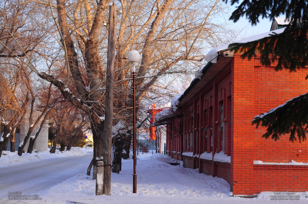 Image 365Project_Day092.jpeg