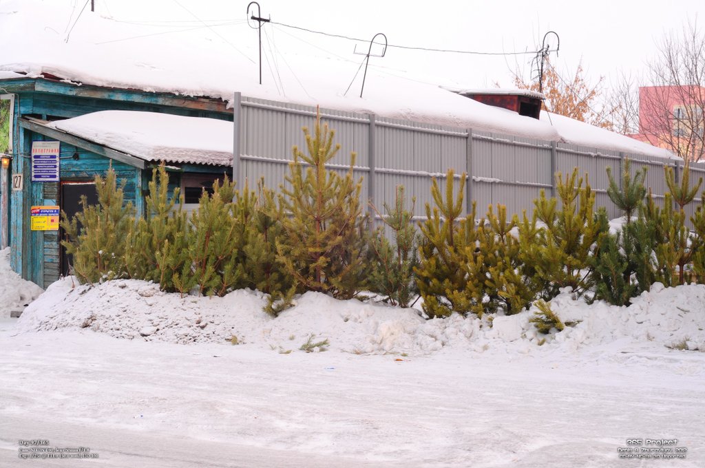 Image 365Project_Day097.jpeg