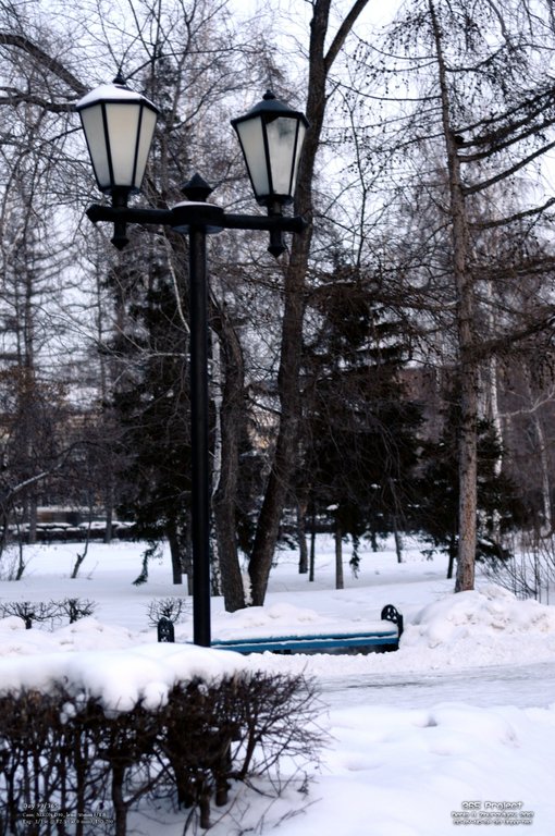 Image 365Project_Day099.jpeg