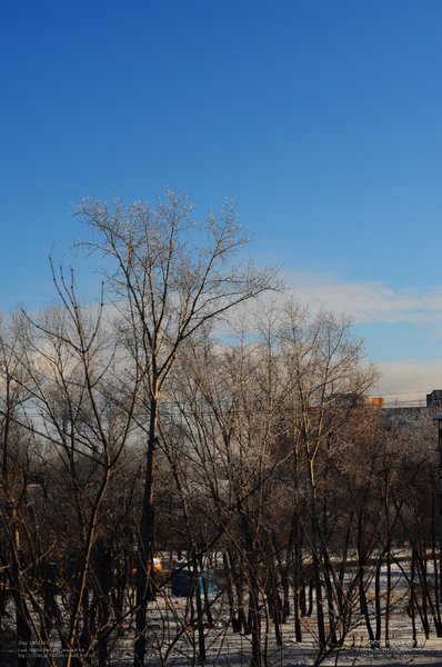 Image 365Project_Day105.jpeg