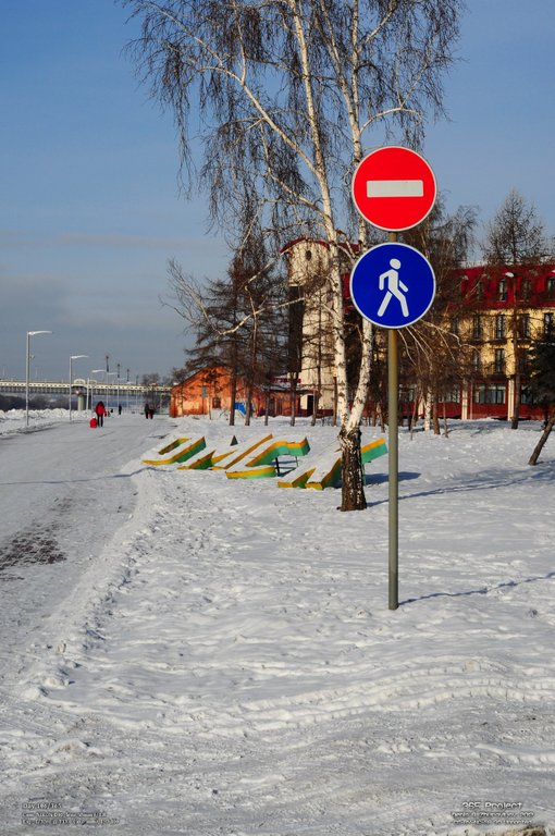 Image 365Project_Day106.jpeg