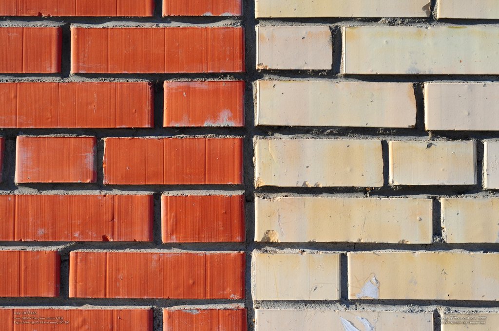 Image 365Project_Day107.jpeg