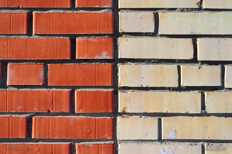 Image 365Project_Day107.jpeg