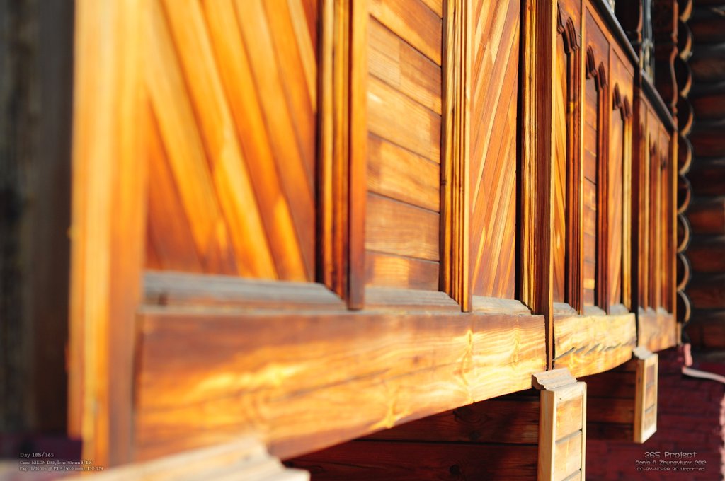 Image 365Project_Day108.jpeg