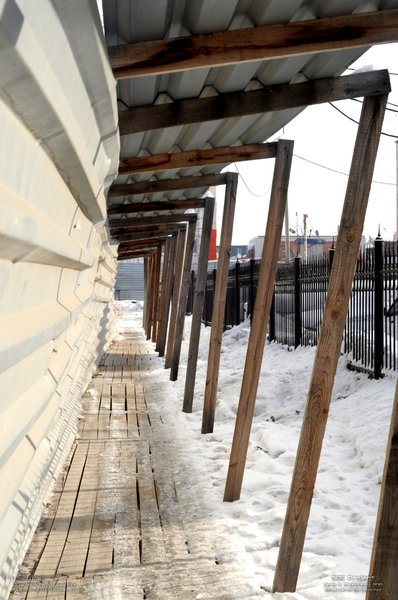 Image 365Project_Day111.jpeg