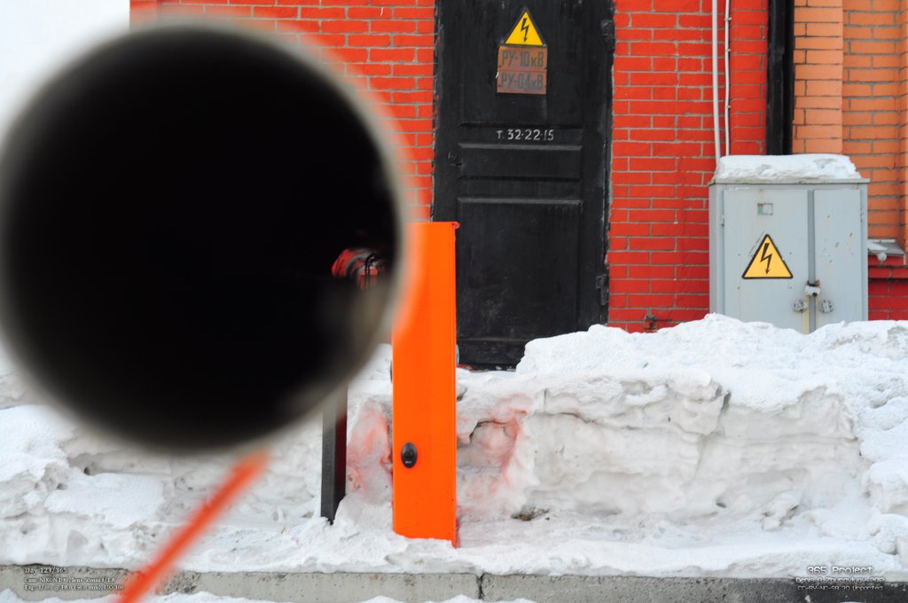 Image 365Project_Day123.jpeg