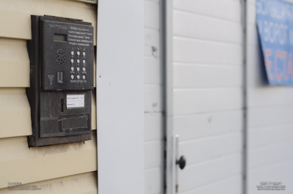 Image 365Project_Day124.jpeg