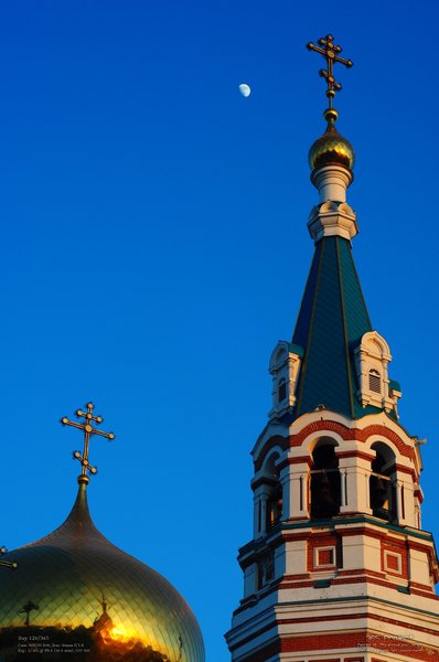 Image 365Project_Day126.jpeg