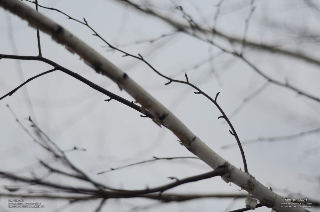 Image 365Project_Day128.jpeg