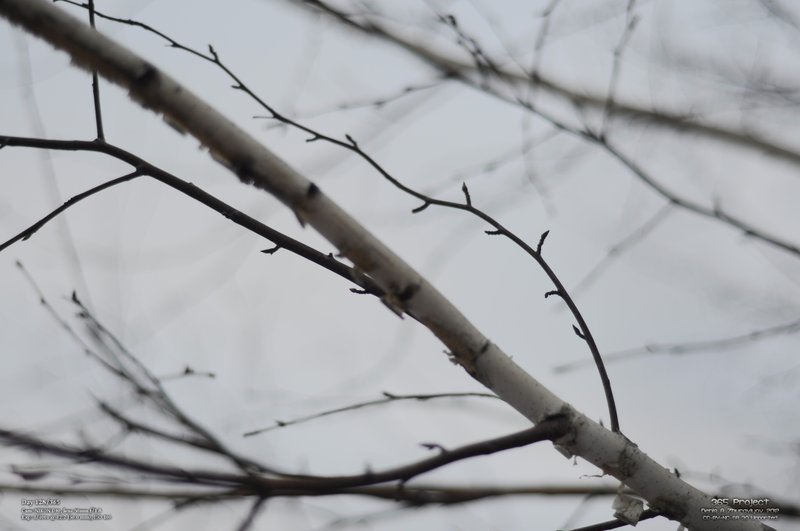 Image 365Project_Day128.jpeg