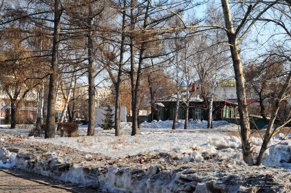 Image 365Project_Day130.jpeg