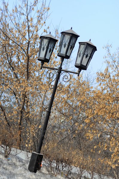 Image 365Project_Day134.jpeg