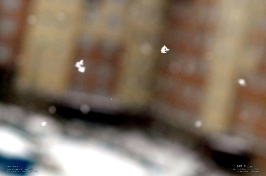Image 365Project_Day136.jpeg