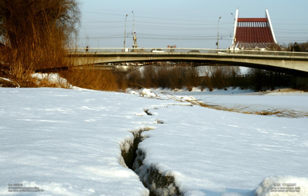 Image 365Project_Day137.jpeg