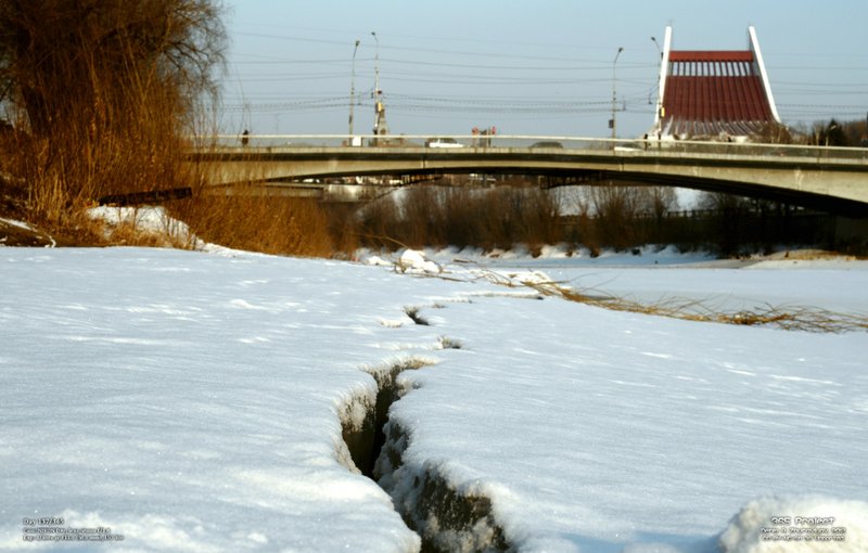 Image 365Project_Day137.jpeg