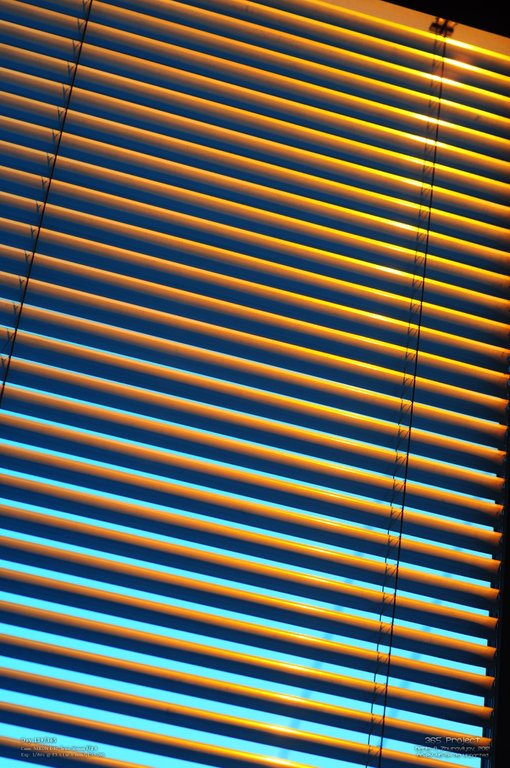 Image 365Project_Day139.jpeg