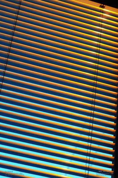 Image 365Project_Day139.jpeg