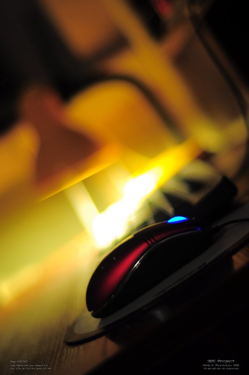 Image 365Project_Day142.jpeg