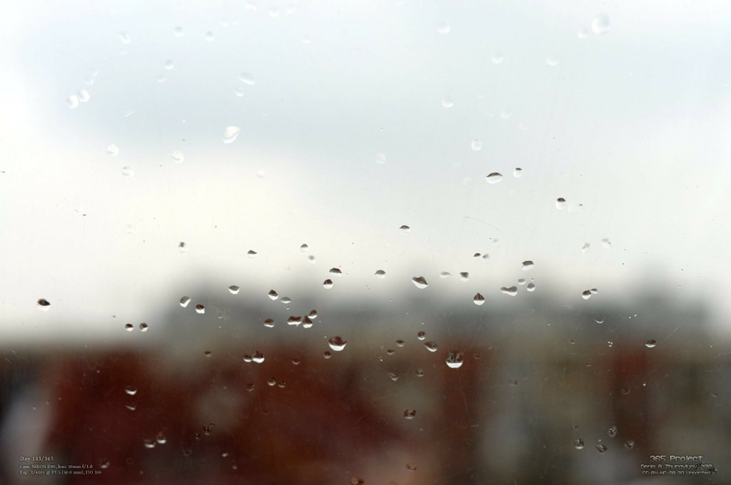 Image 365Project_Day143.jpeg